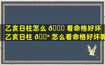 乙亥日柱怎么 🐈 看命格好坏「乙亥日柱 💮 怎么看命格好坏呢」